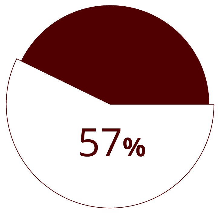 Pie chart 57%