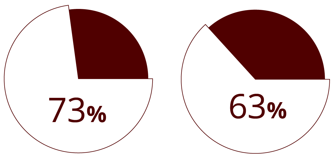 Pie charts 73% and 63%